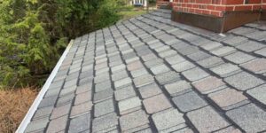 What You Should Know about Roof Cleaning